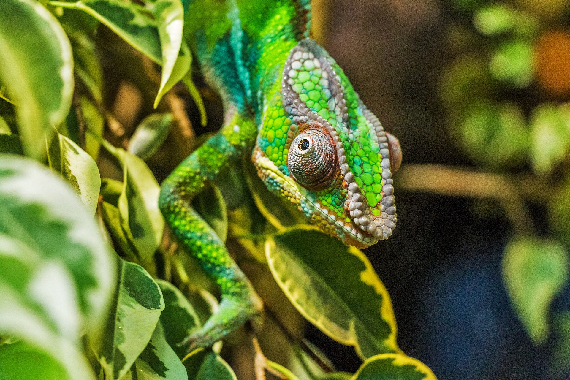 Voyage à Madagascar