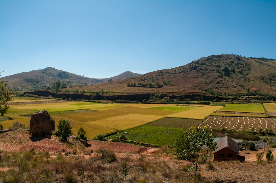 Quels sont les Parcs les plus populaires de Madagascar ?